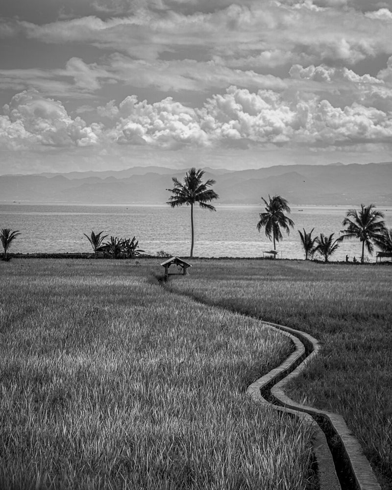 Photograph by RIDWANSYAH