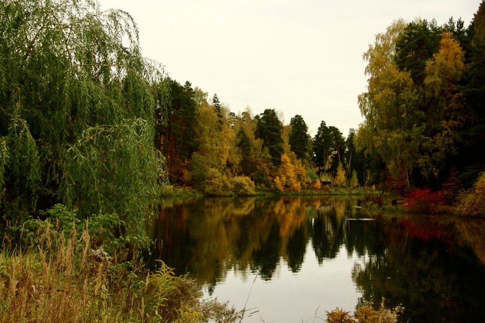 Photograph by Ирина Сороколетова