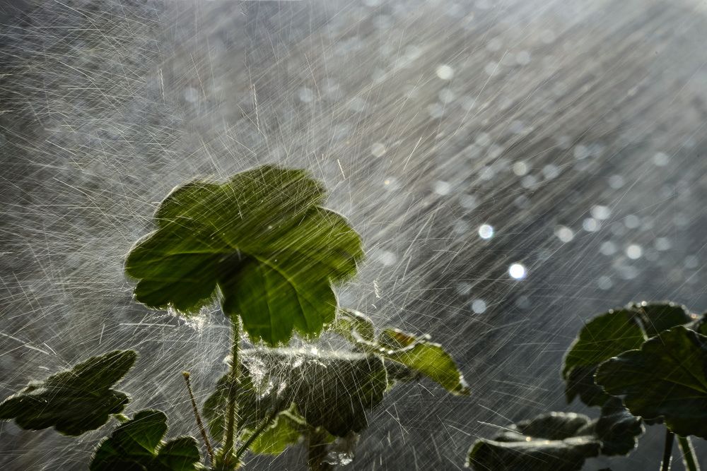 Photograph by Римма Волченко