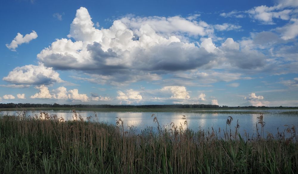 Фотография автора Vera Eremeeva