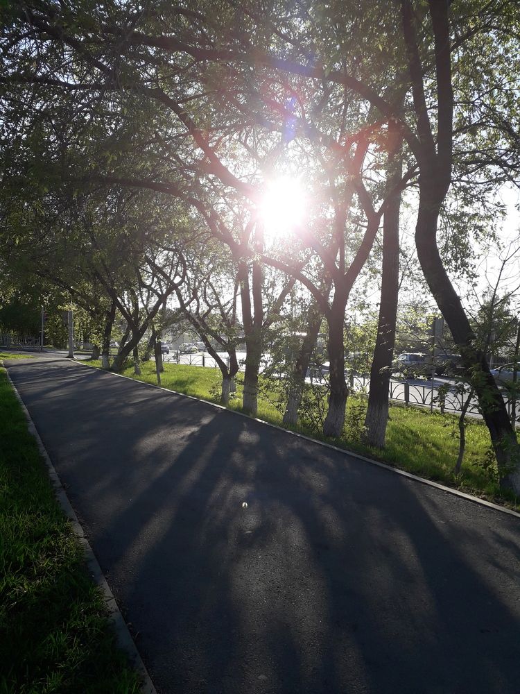 Photograph by Валерия Бебенина