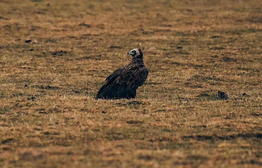 Photograph by Юрий Гаврилов