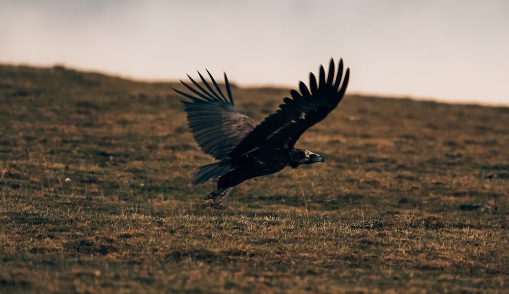 Photograph by Юрий Гаврилов