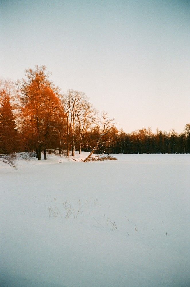 Photograph by Василий Селиванов