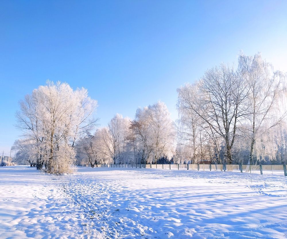 Photograph by Ирина Половцева