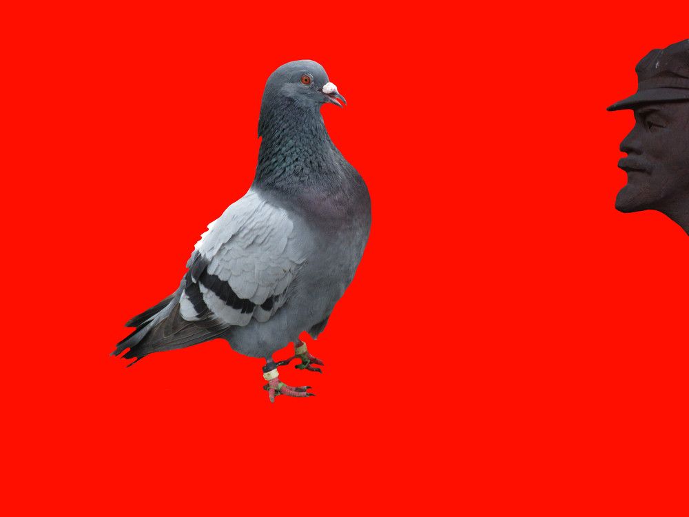 Photograph by дмитрий