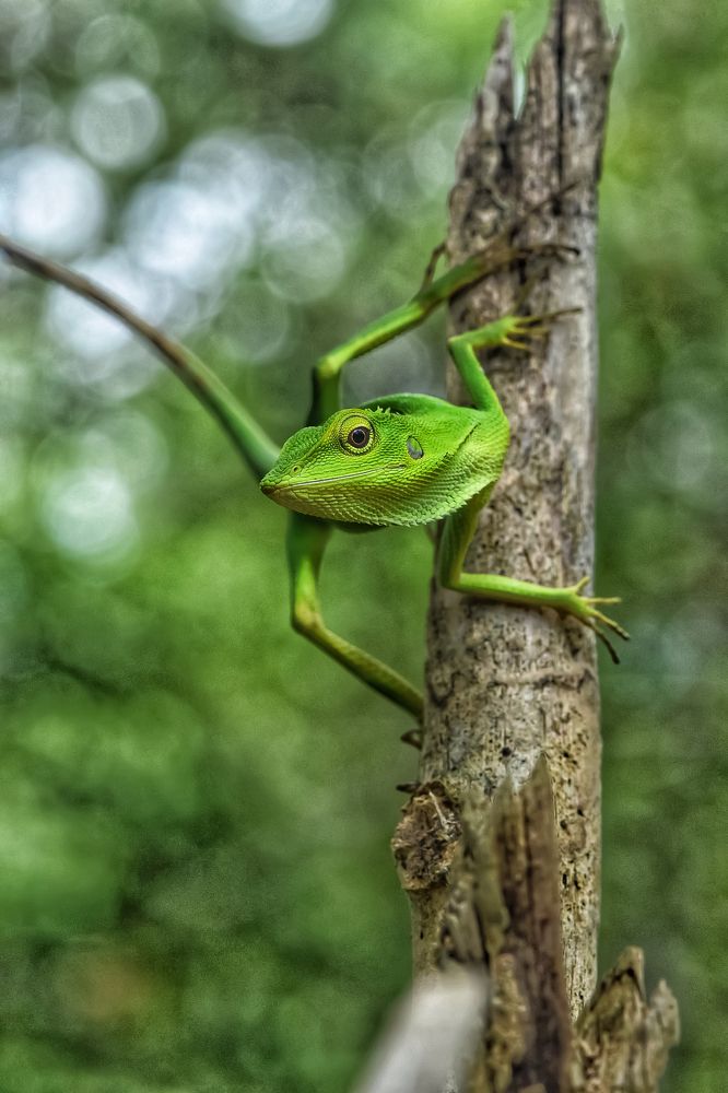 Photograph by Sharel Albor