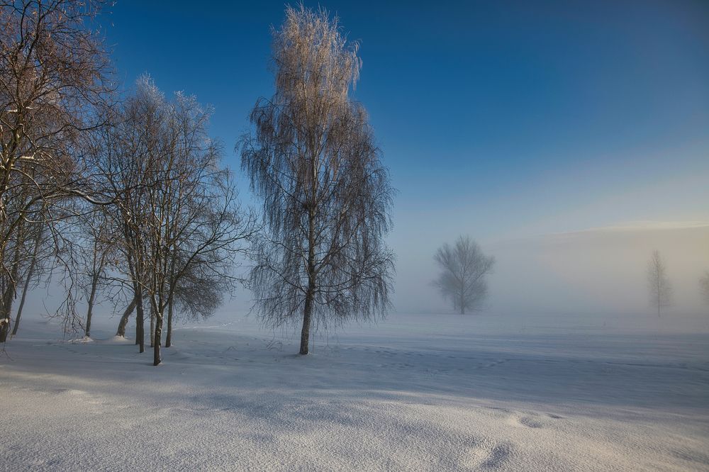 Photograph by Jānis Sērdienis