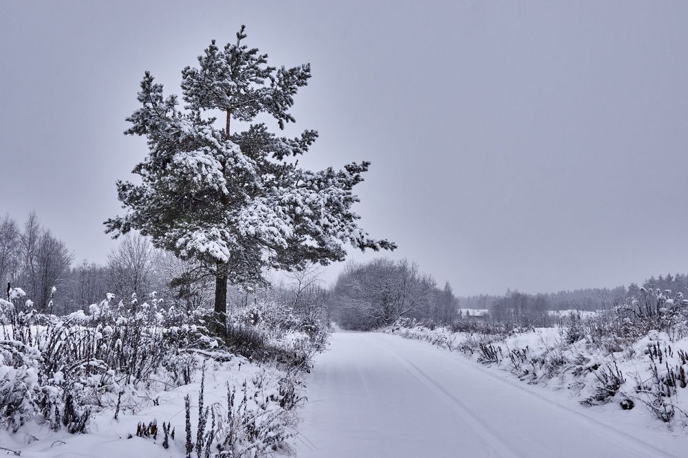 Photograph by Татьяна Полянская