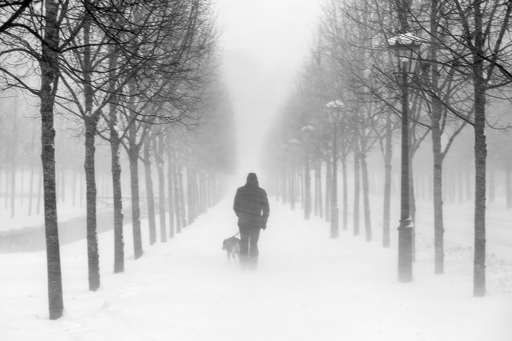 Photograph by Александр Абросимов