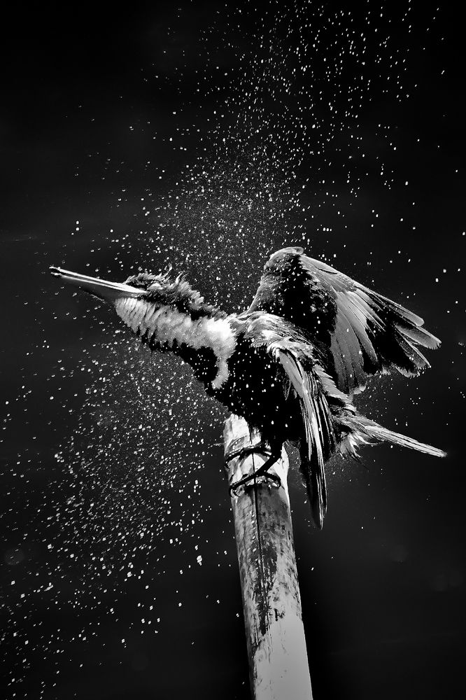 Photograph by Samar Jana