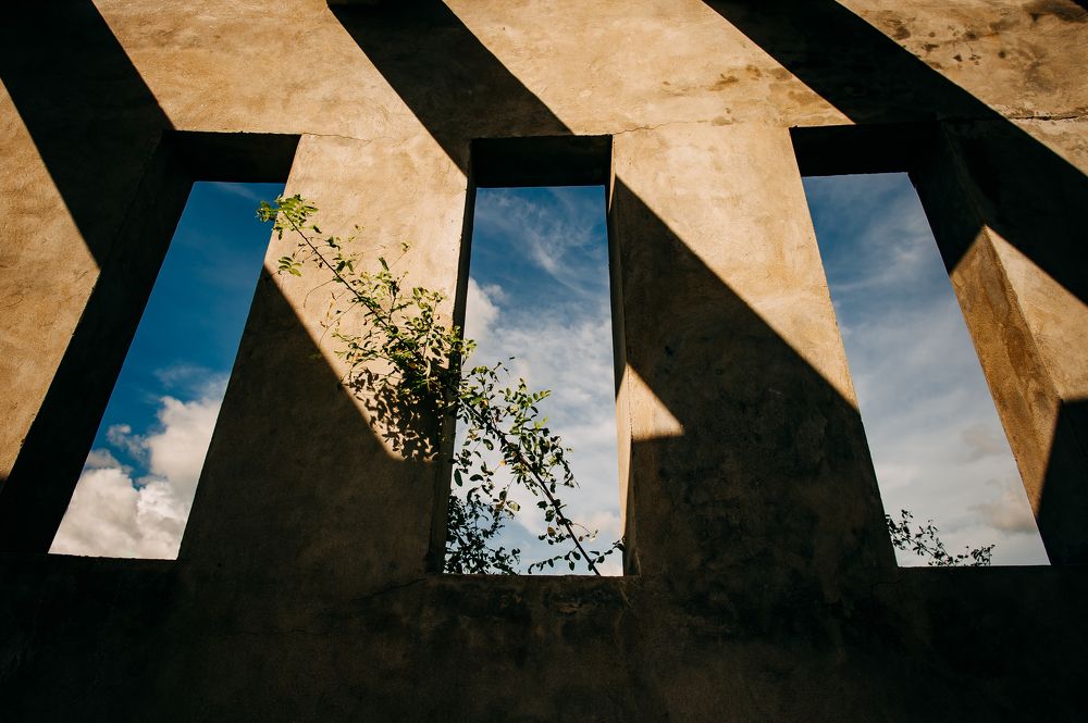 Photograph by Trần Ngọc Thanh