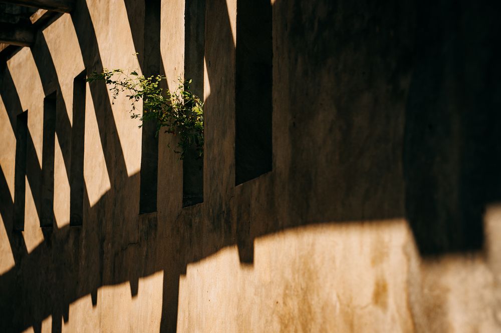 Photograph by Trần Ngọc Thanh