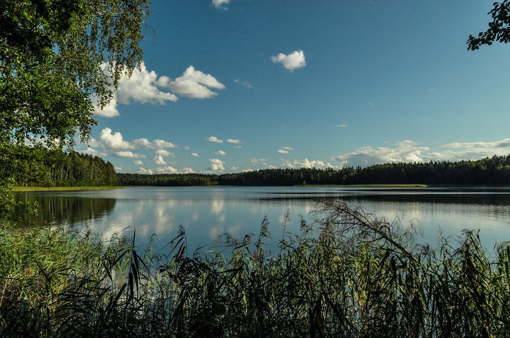 Photograph by Ольга Герасименко