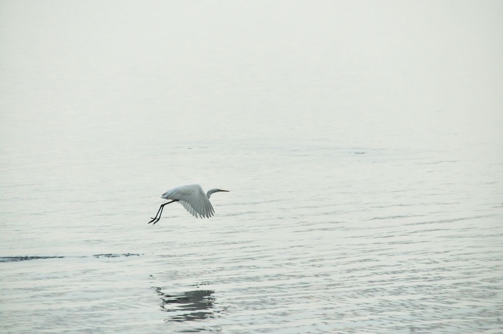 Photograph by Ольга Герасименко