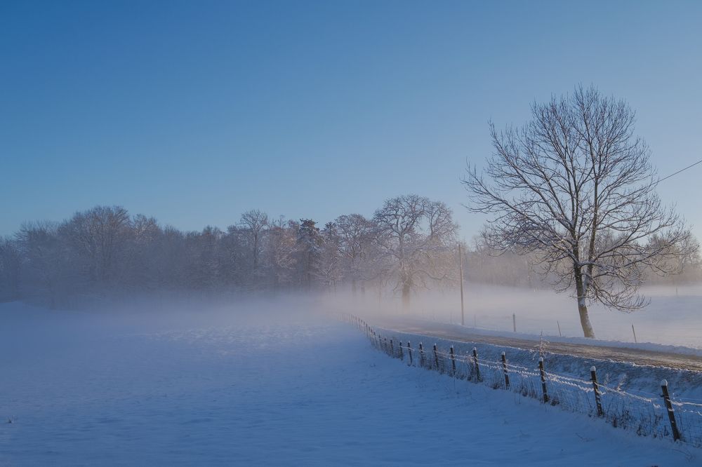 Photograph by Nikolai Mihhailov