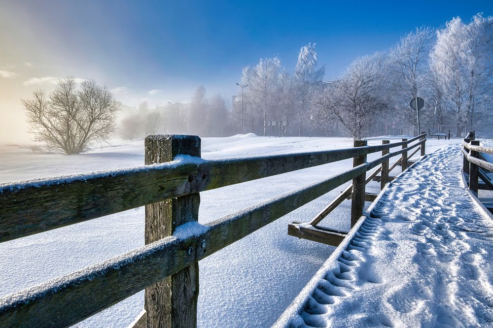 Photograph by Jānis Sērdienis