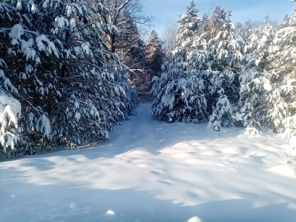 Photograph by Михаил Царикевич