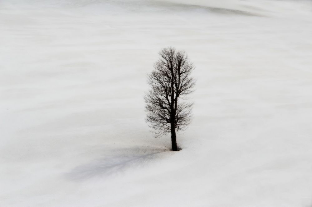 Photograph by Anna Perevozchikova