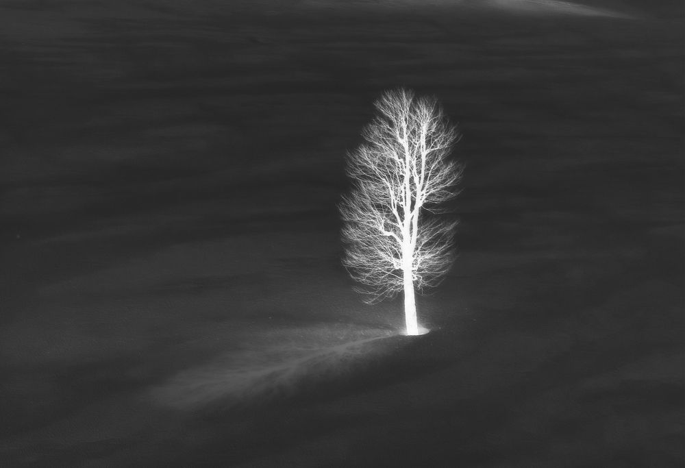 Photograph by Anna Perevozchikova