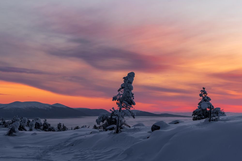 Шёлковое небо