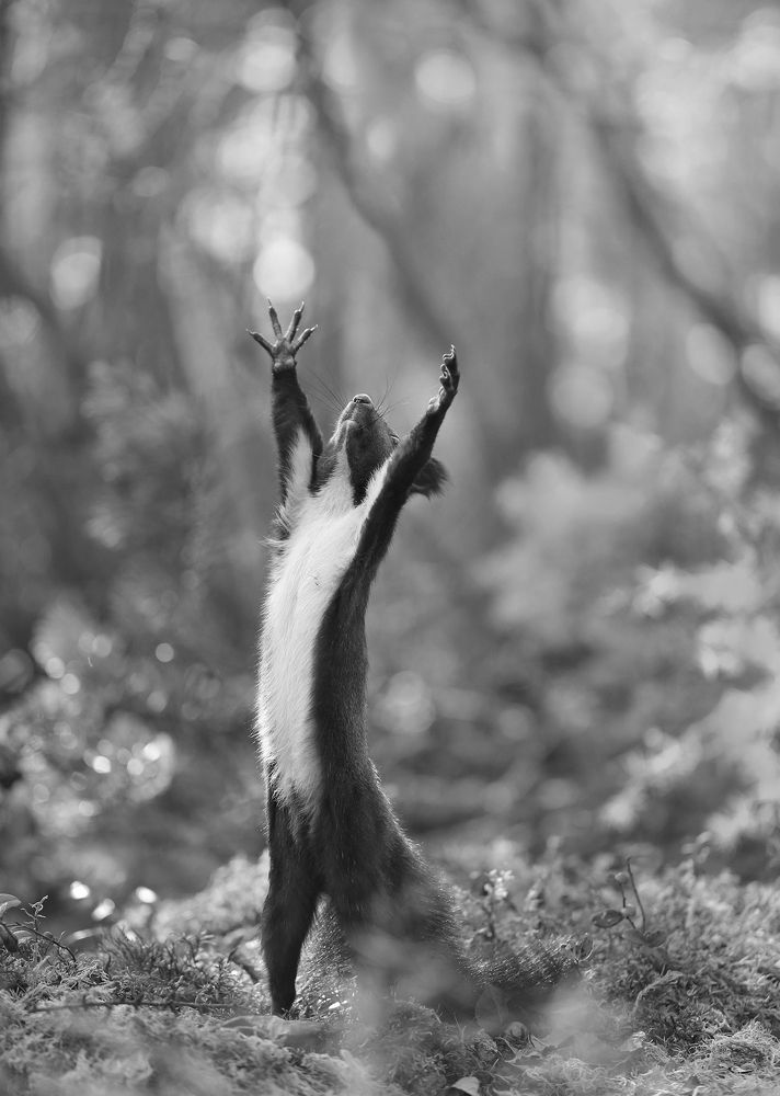 Photograph by Евгения Левина