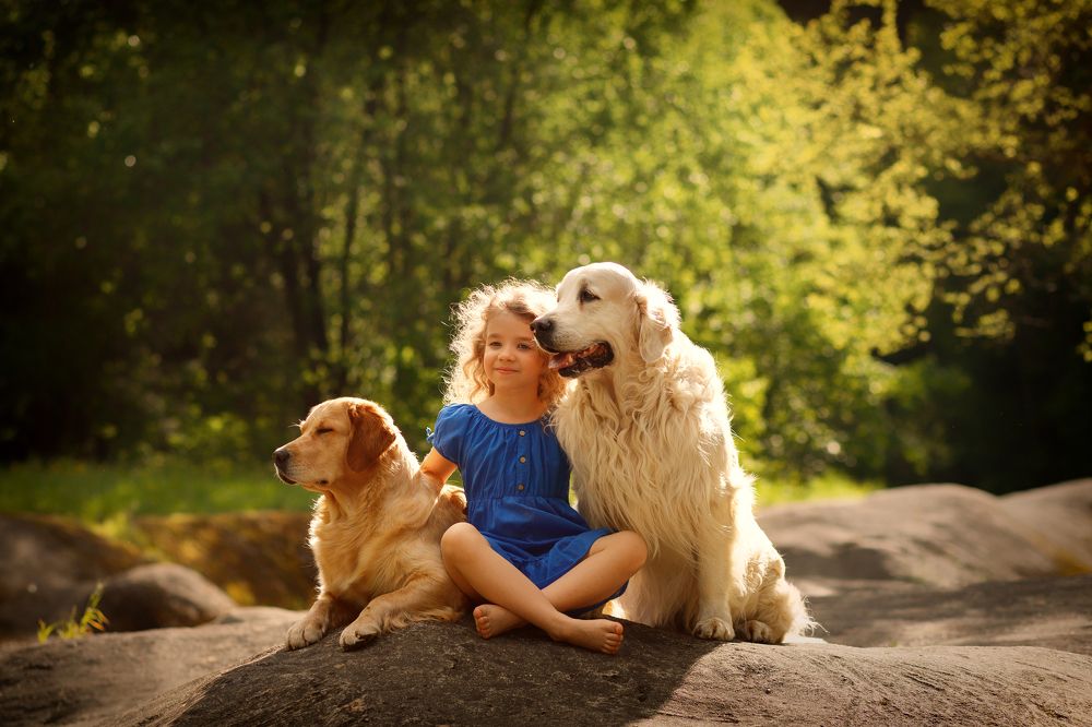 Photograph by Алена Крайко