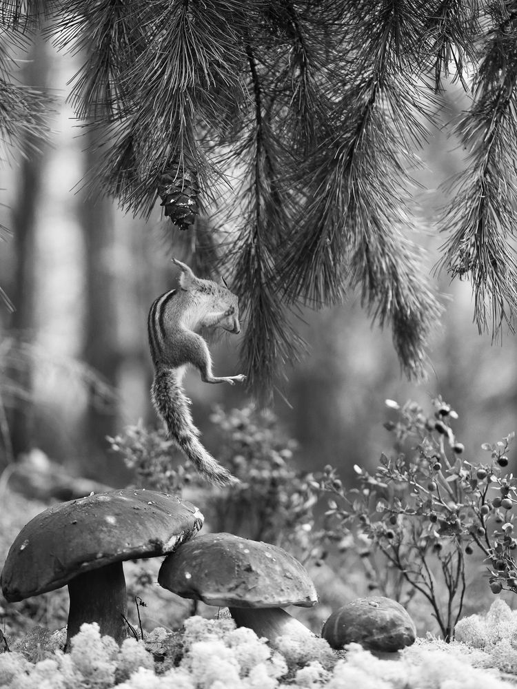 Photograph by Евгения Левина