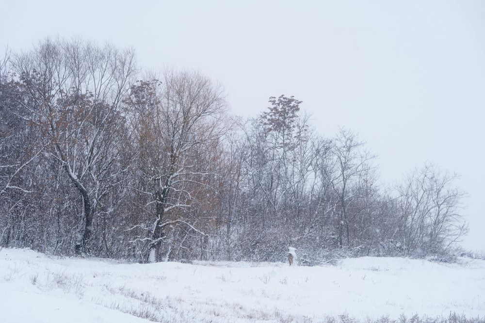 Photograph by Кристина Присакарь