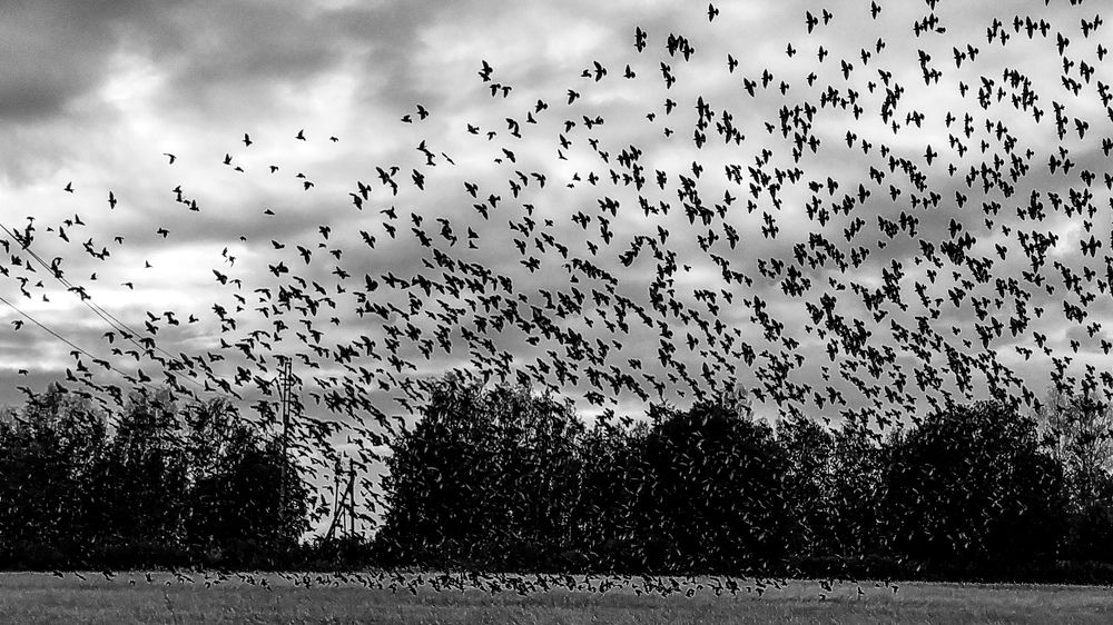 Photograph by Виталий Грачёв