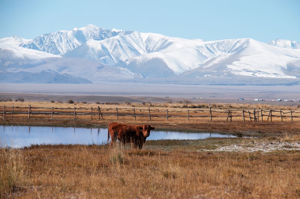 Photograph by Татьяна Ярмак