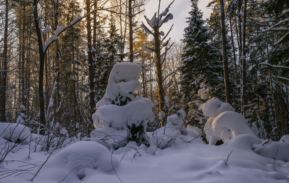 Зимние причуды