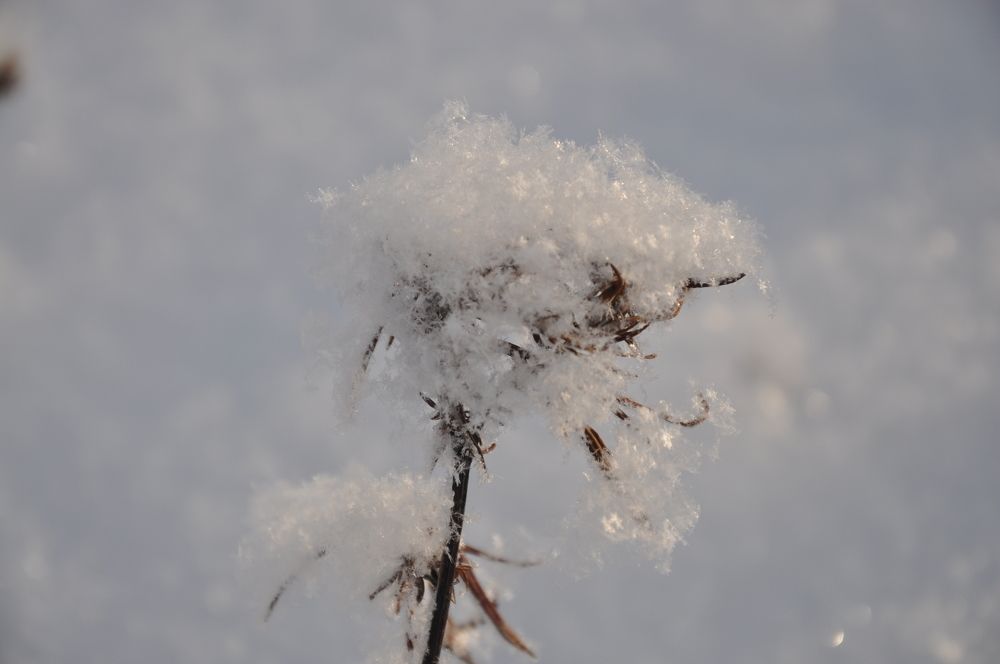 Photograph by Александра Пухкалова