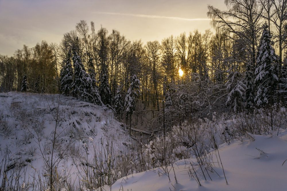 Зимний овраг