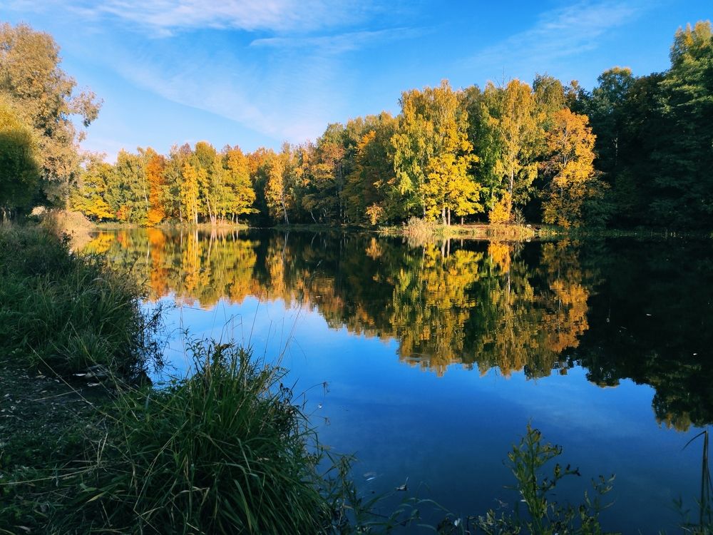 Фотография автора Наталия Нехорошева