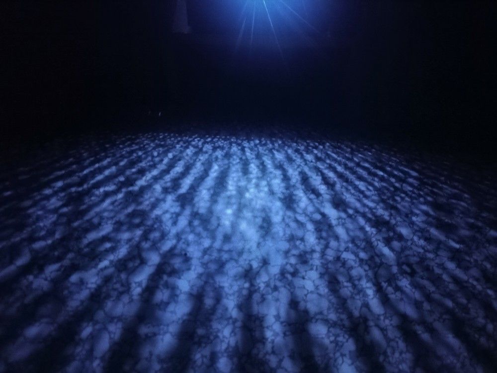 Photograph by Елизавета Мишина