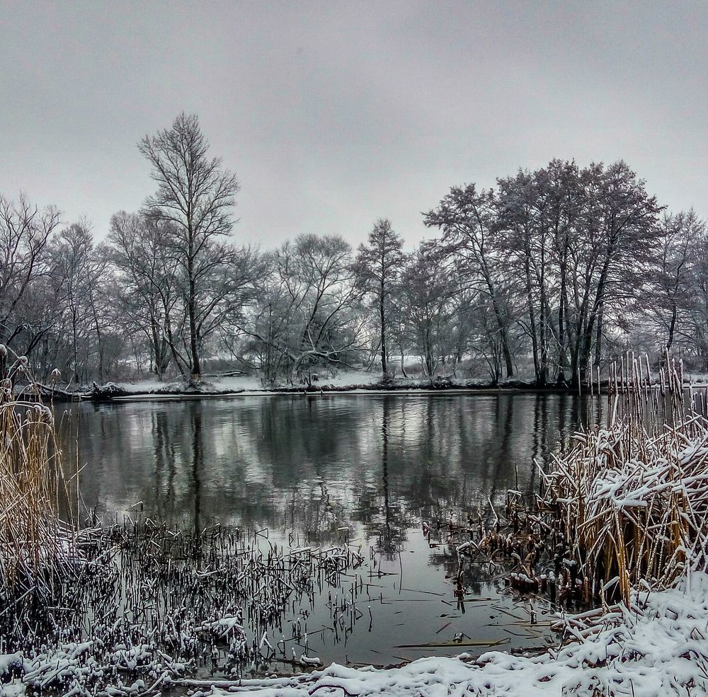 Фотография автора Геннадий Ломеко