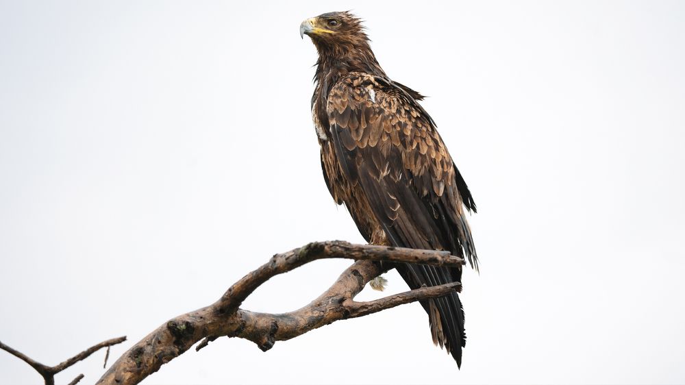 Photograph by Khazov Artem