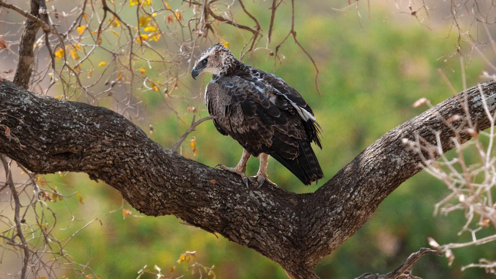 Photograph by Khazov Artem