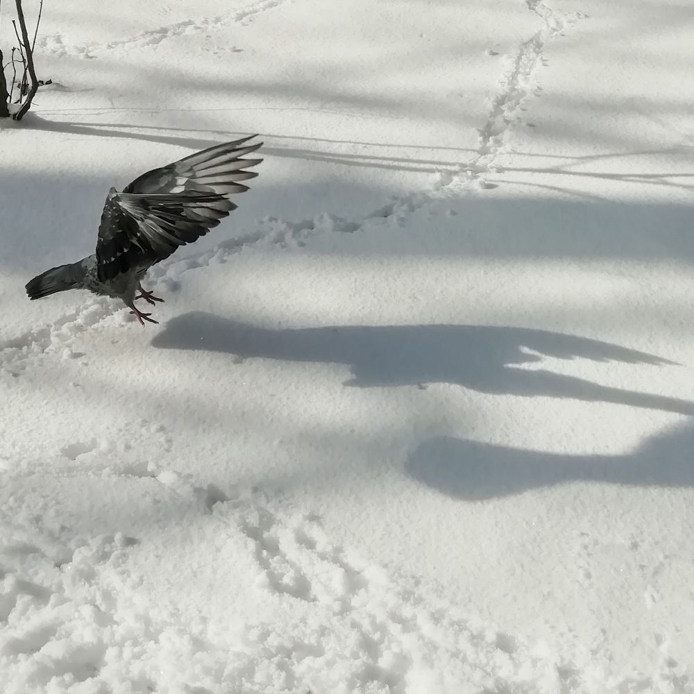 Фотография автора Альбина Хвастунова