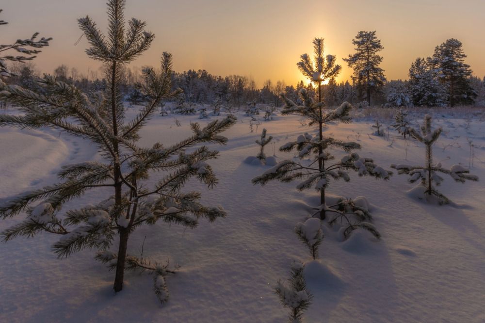 Photograph by Елена Хорохорина