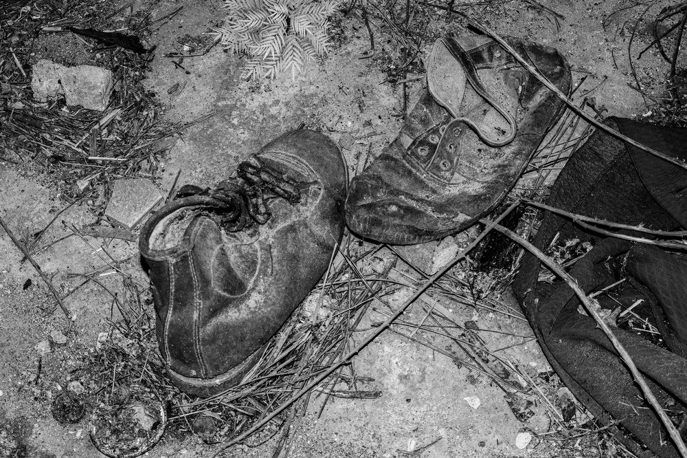 Photograph by Jose Luis Llamazares