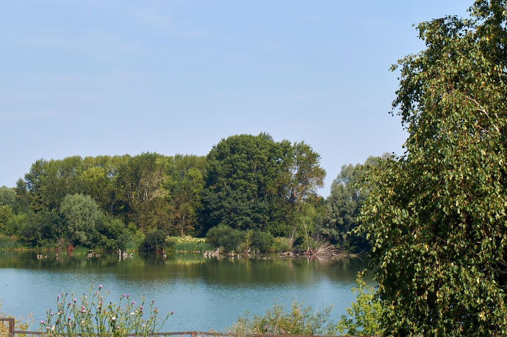 Photograph by Igor Kochkin