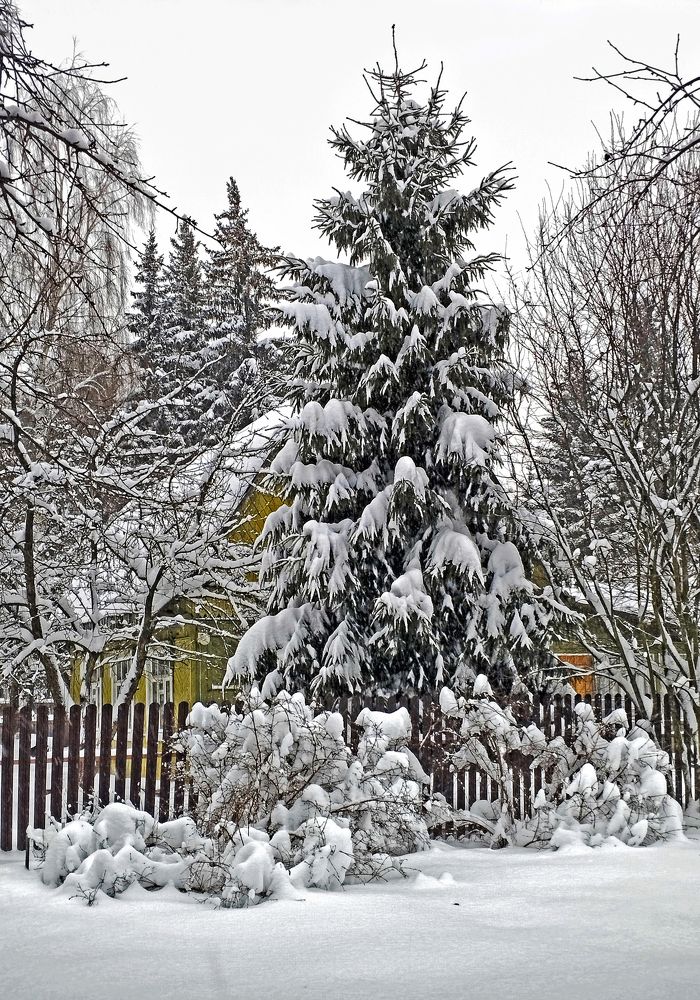 Зимняя сказка.