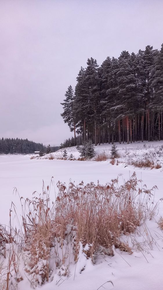 Photograph by Альбина Муртазина