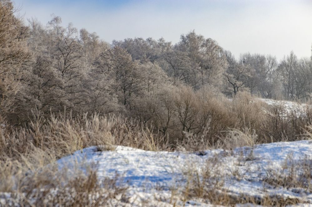 Photograph by Константин Чижов