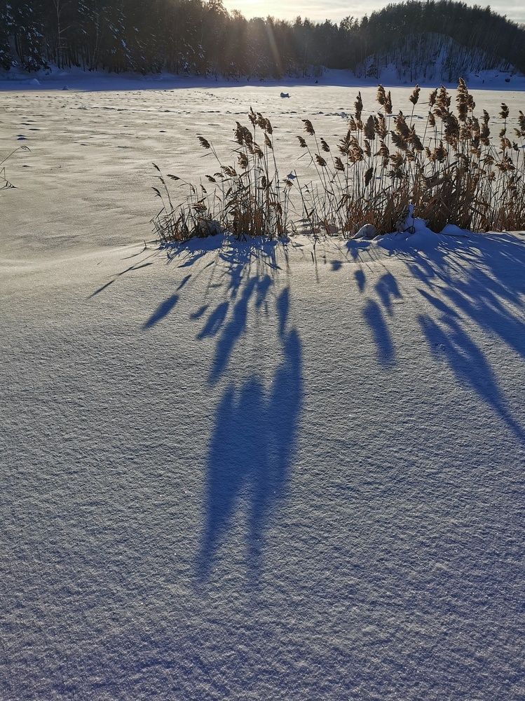 Photograph by Елена Артёменко