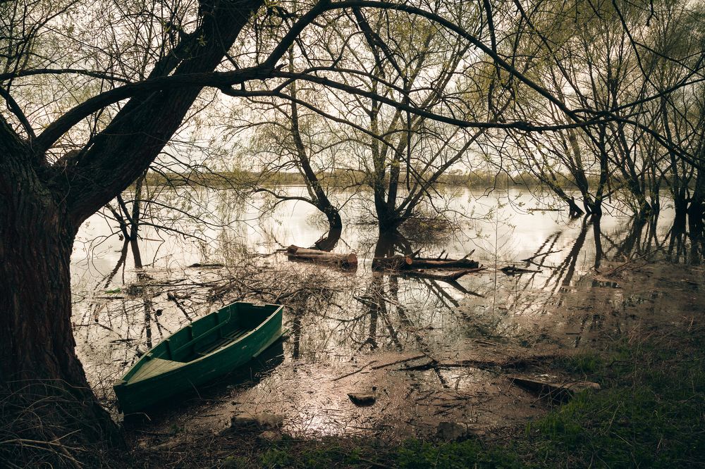 Photograph by Николай Астанин