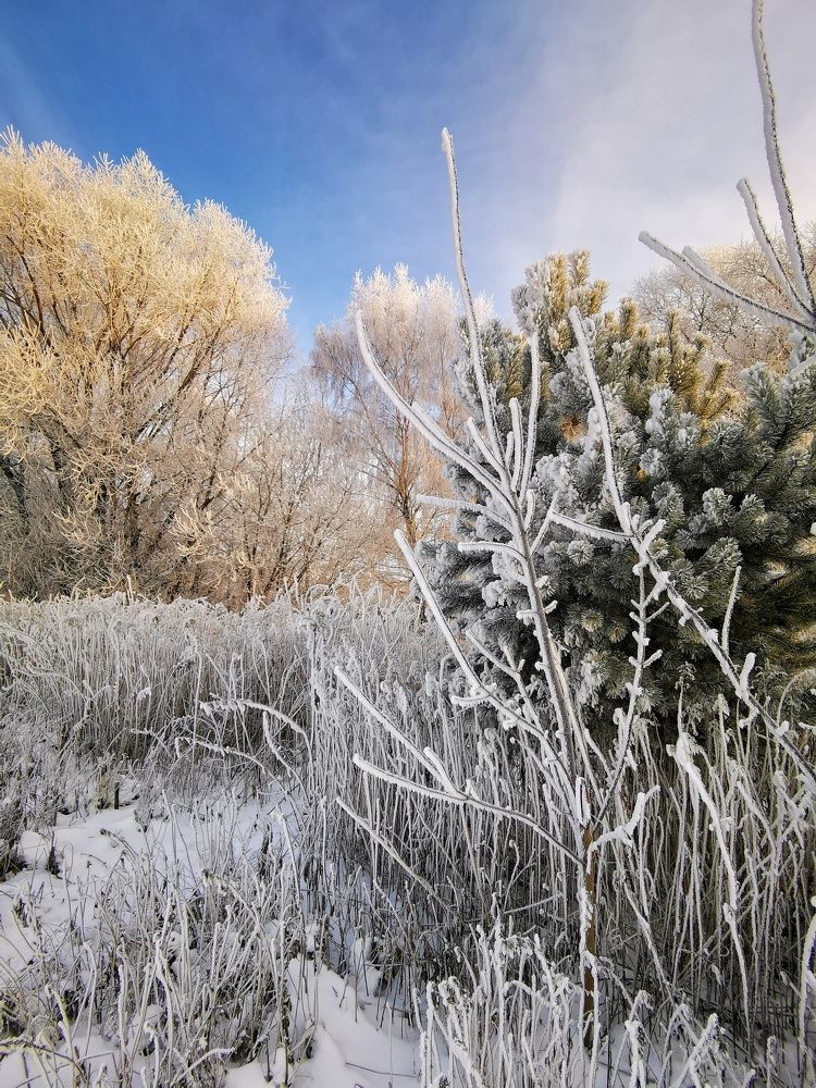 Photograph by Елена Артёменко