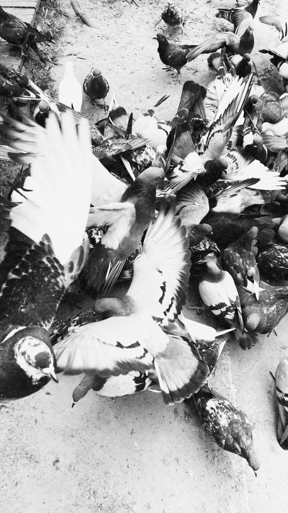 Photograph by Анастасия Каланакова